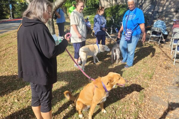 People and pets at Blessings of Animals